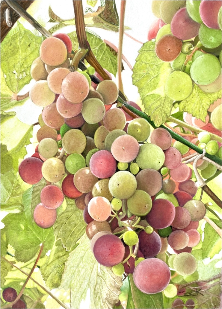 grapes